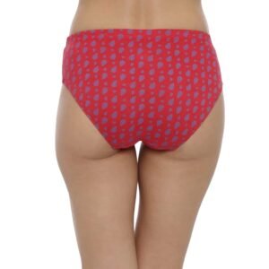 Women Multi Colour Printed Panties 3 Set Combo